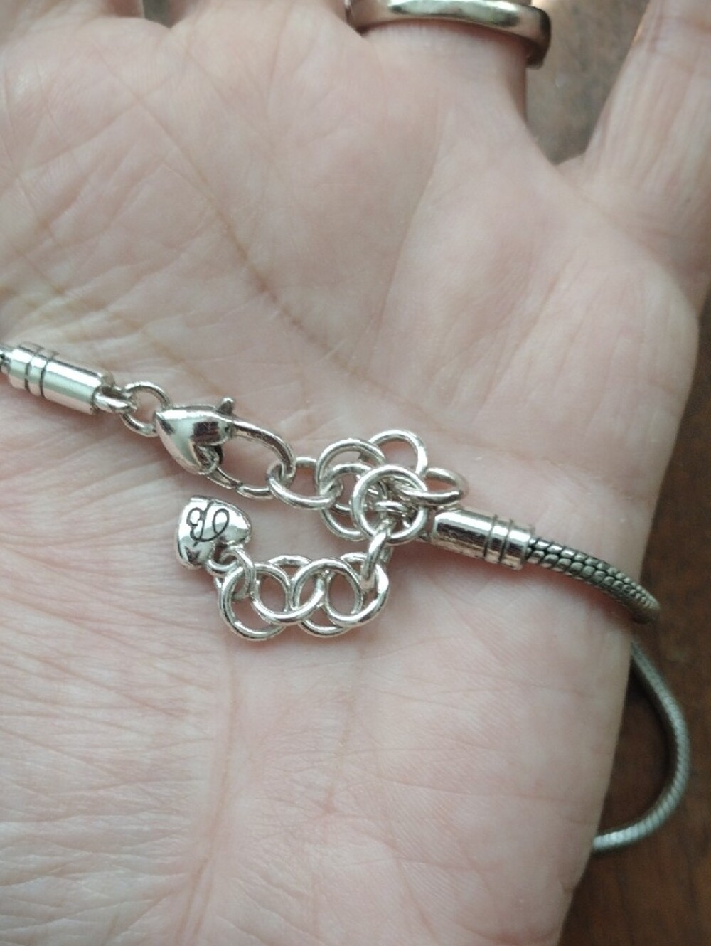 Brighton Heart Shaped Charm Holder Necklace - Picture 4 of 6